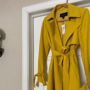 Ann Taylor Trench Coat